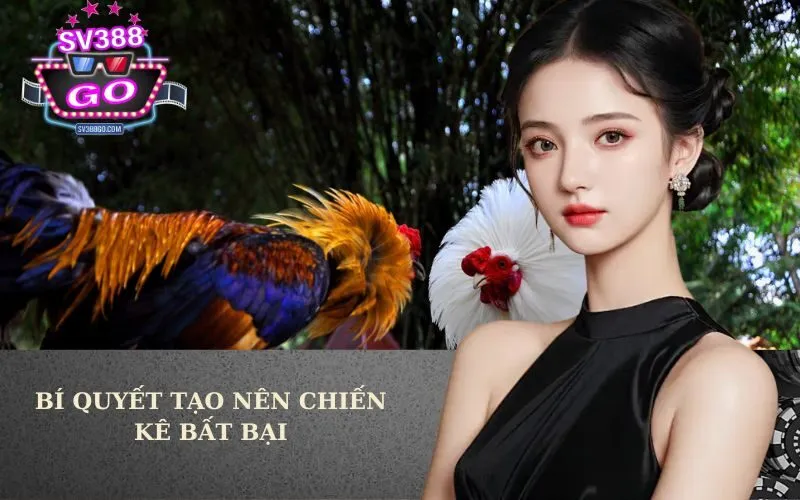 Bí quyết tạo nên chiến kê bất bại