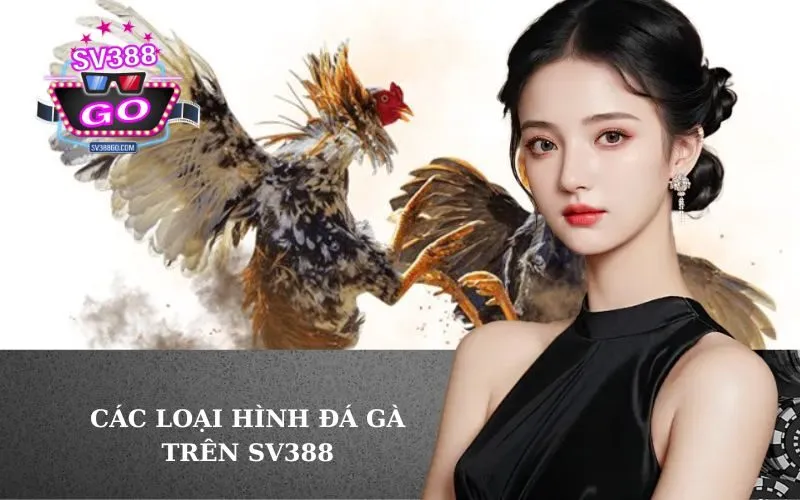 Các loại hình đá gà trên SV388