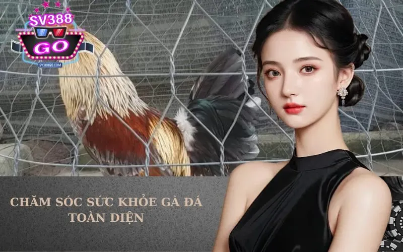 Chăm Sóc Sức Khỏe Gà Đá Toàn Diện