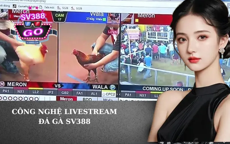 Công Nghệ Livestream Đá Gà SV388