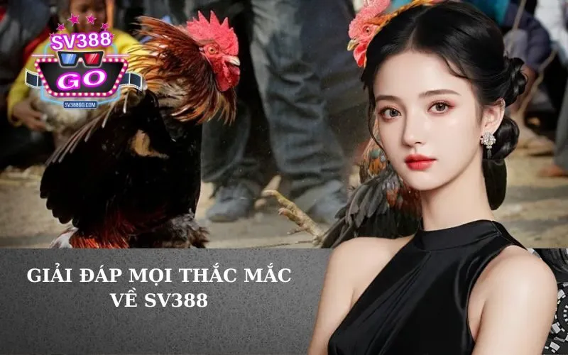 Giải Đáp Mọi Thắc Mắc Về SV388