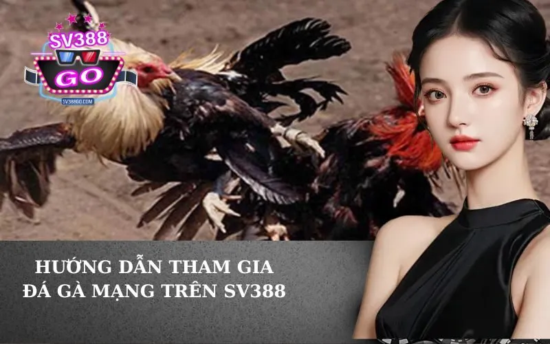 Hướng Dẫn Tham Gia Đá Gà Mạng Trên SV388