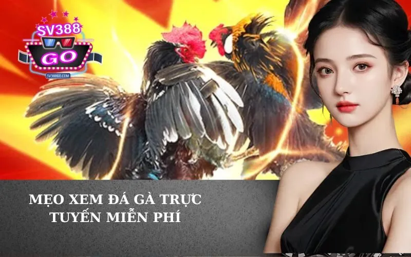 Mẹo Xem Đá Gà Trực Tuyến Miễn Phí