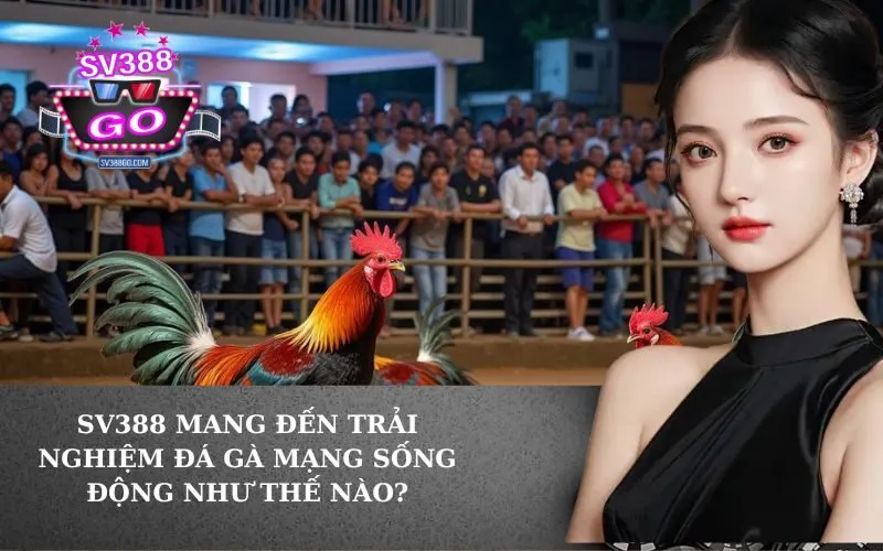 SV388 Mang Đến Trải Nghiệm Đá Gà Mạng Sống Động Như Thế Nào