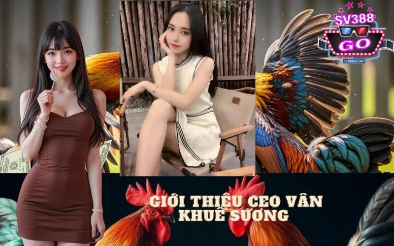 Giới Thiệu CEO Vân Khuê Sương 