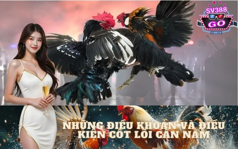 Những điều khoản và điều kiện cốt lõi cần nắm