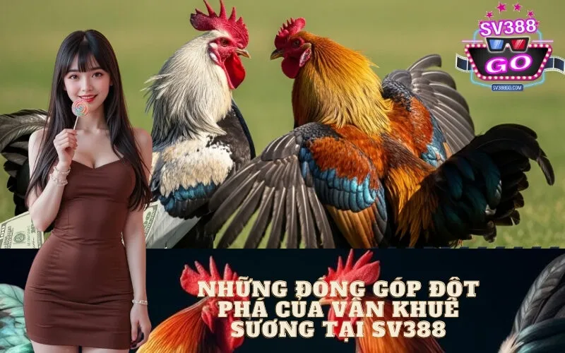 Những Đóng Góp Đột Phá Của Vân Khuê Sương Tại Sv388