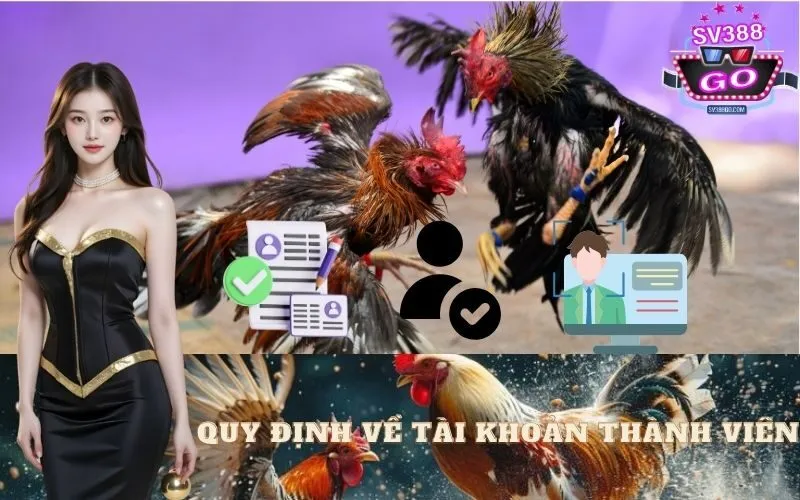 Quy Định về Tài Khoản Thành Viên